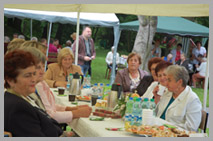 DPS Wi�ckowice - IX Powiatowe Dni Seniora