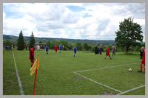 DPS Wi�ckowice - IX Powiatowe Dni Seniora