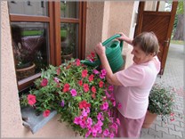 DPS Wi�ckowice - Nasz Ogr�d