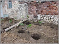 DPS Wi�ckowice - Winnica