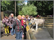 DPS Wi�ckowice - Wycieczka Zoo