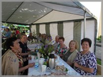 DPS Wi�ckowice