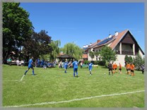 DPS Wi�ckowice
