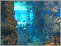 DPS Wi�ckowice