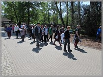 DPS Wi�ckowice