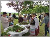 DPS Wi�ckowice