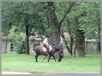 DPS Wi�ckowice