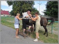 DPS Wi�ckowice