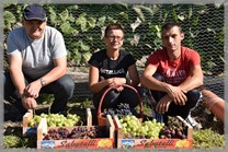 DPS Wi�ckowice