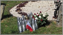 DPS Wi�ckowice
