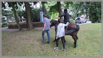DPS Wi�ckowice