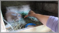 DPS Wi�ckowice