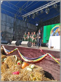 DPS Wi�ckowice