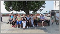 DPS Wi�ckowice