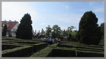 DPS Wi�ckowice