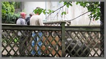 DPS Wi�ckowice