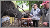 DPS Wi�ckowice