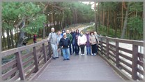 DPS Wi�ckowice