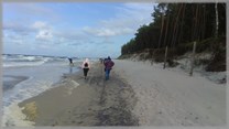 DPS Wi�ckowice
