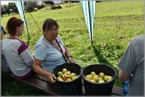DPS Wi�ckowice