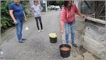 DPS Wi�ckowice
